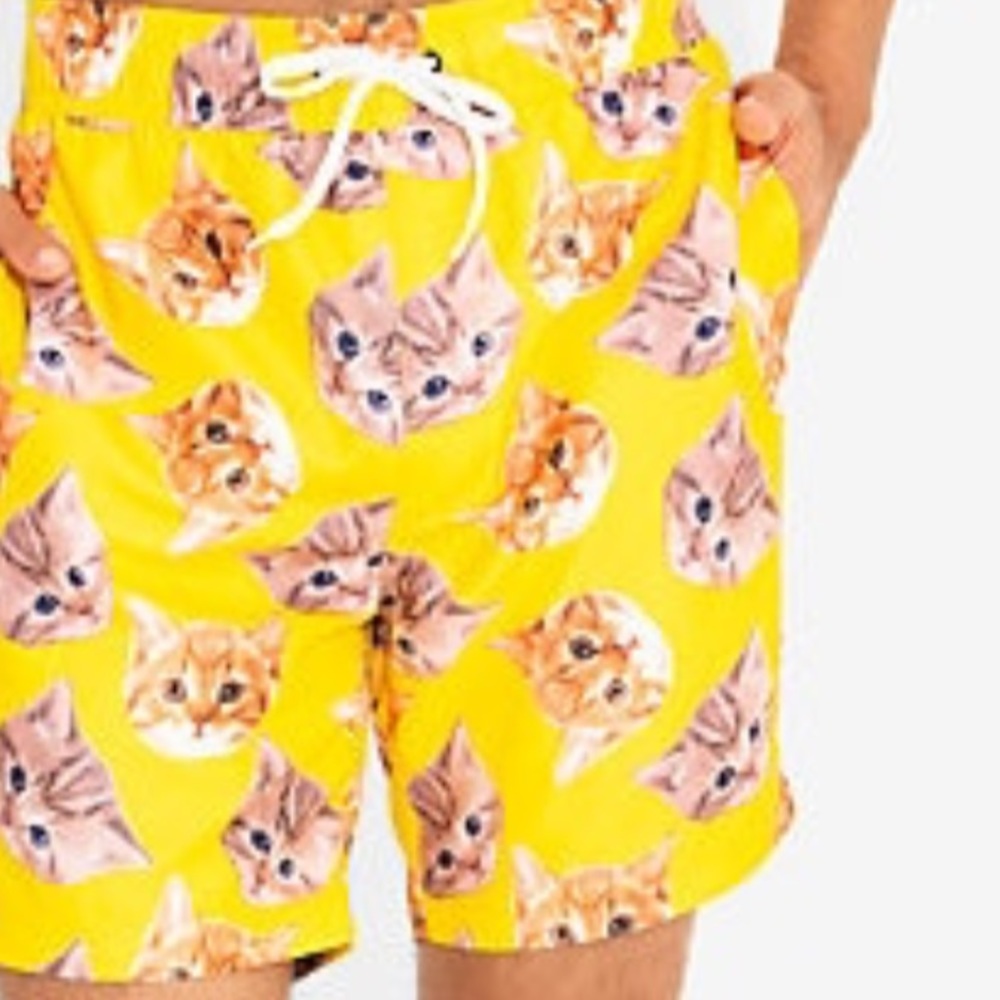 NWT Swim trunks